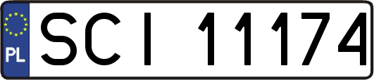 SCI11174