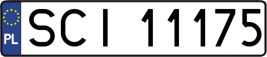 SCI11175