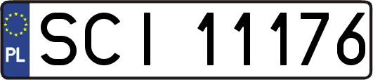 SCI11176