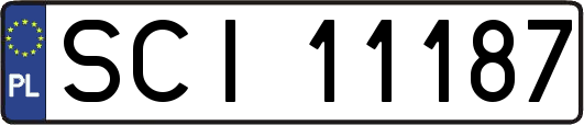 SCI11187