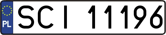 SCI11196
