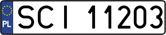 SCI11203