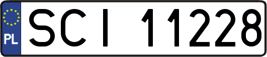 SCI11228