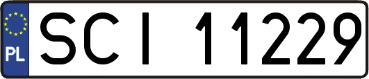 SCI11229