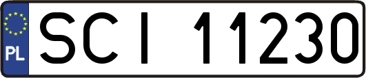 SCI11230