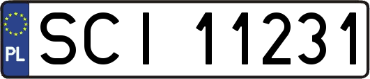 SCI11231