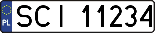 SCI11234