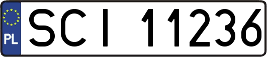 SCI11236