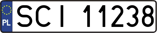 SCI11238