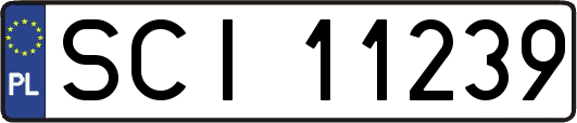 SCI11239