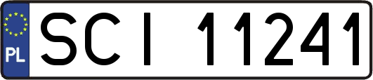 SCI11241