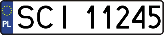 SCI11245