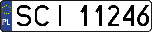 SCI11246