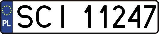 SCI11247