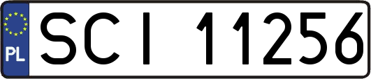 SCI11256