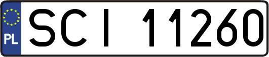 SCI11260