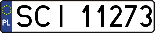 SCI11273