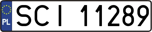 SCI11289