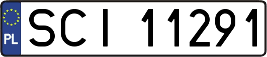 SCI11291