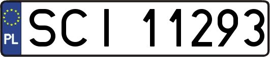 SCI11293