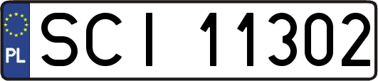 SCI11302