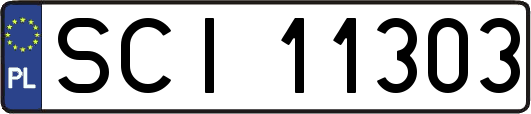 SCI11303