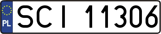 SCI11306