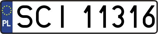 SCI11316
