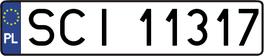 SCI11317