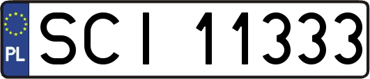 SCI11333