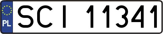 SCI11341