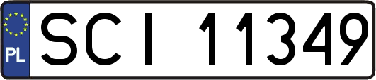 SCI11349