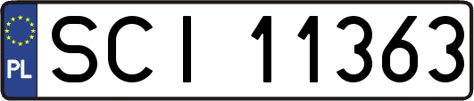 SCI11363