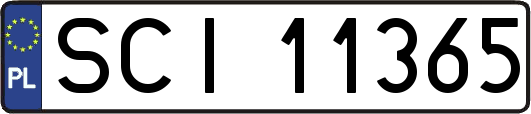 SCI11365