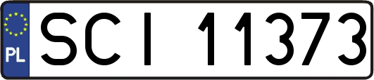 SCI11373