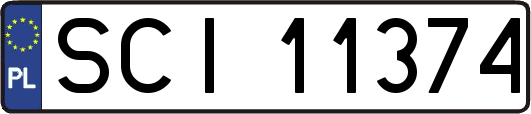 SCI11374
