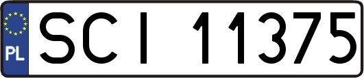 SCI11375