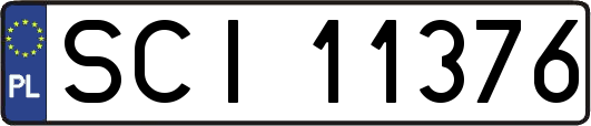 SCI11376