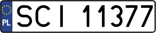 SCI11377