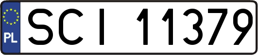 SCI11379