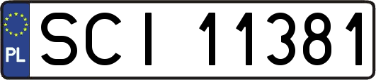 SCI11381