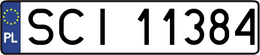 SCI11384