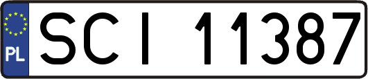 SCI11387