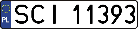 SCI11393