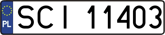 SCI11403
