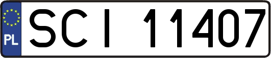 SCI11407