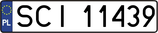 SCI11439