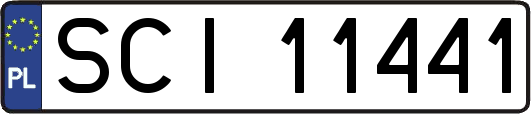 SCI11441