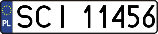 SCI11456