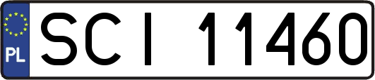 SCI11460